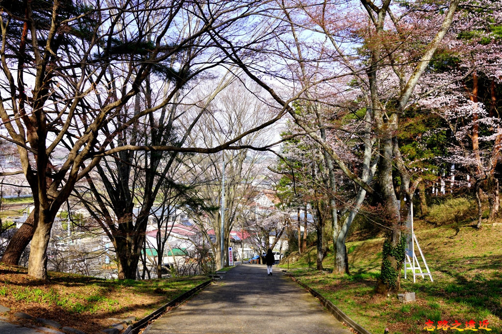 7船岡御館橋下坡網船岡站方向.jpg