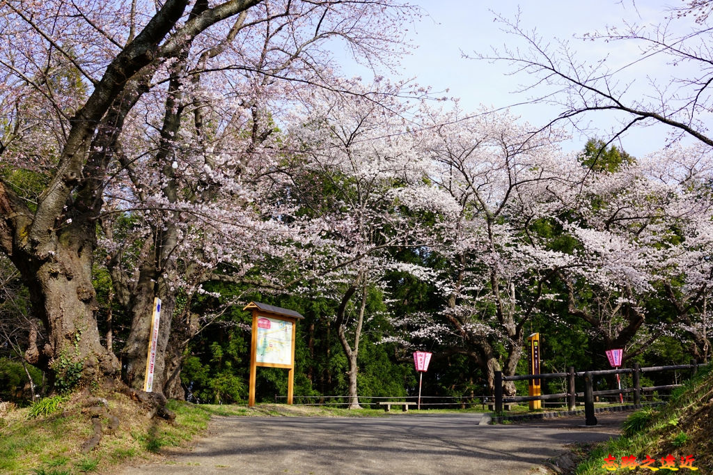 8船岡御館橋上坡往三之丸廣場方向.jpg