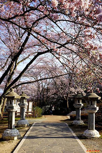 24船岡城址公園纜車站往平和觀音步道.jpg