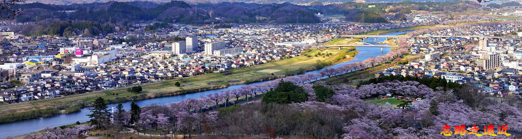 31船岡城址公園山頂望白石川櫻花.jpg