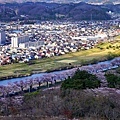 31船岡城址公園山頂望白石川櫻花.jpg