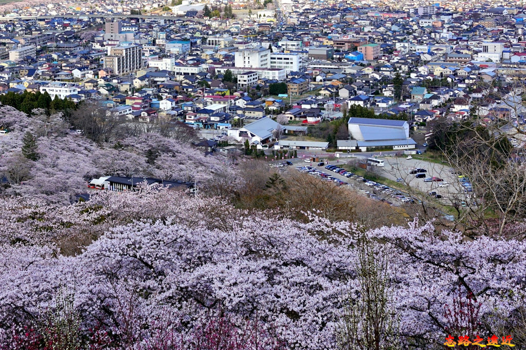 32船岡城址公園山頂望船岡市區.jpg