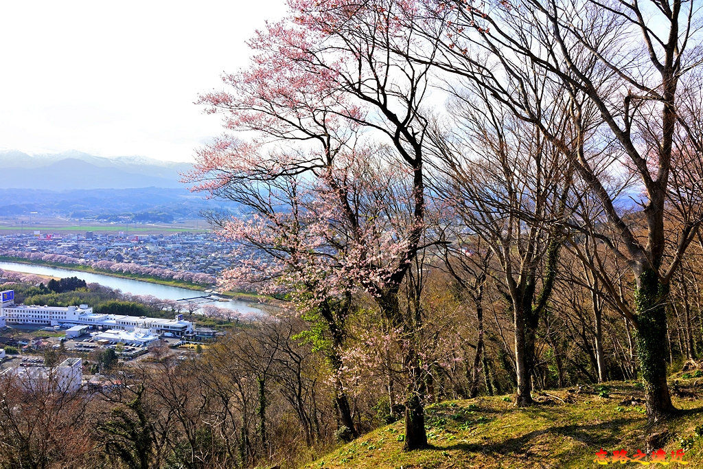 40船岡城址公園山頂望白石川及船岡市區-背向