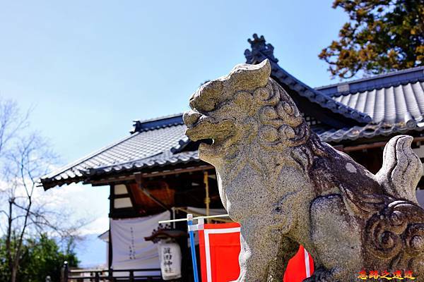 31上田城真田神社石獅-2.jpg