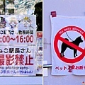 22蘆之牧溫泉站禁止寵物攝影