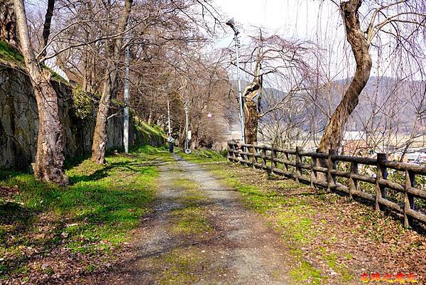 8烏帽子山山道路-1.jpg