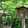 堀越神社神木說明牌.jpg