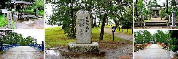 沙洲松林 BANNER