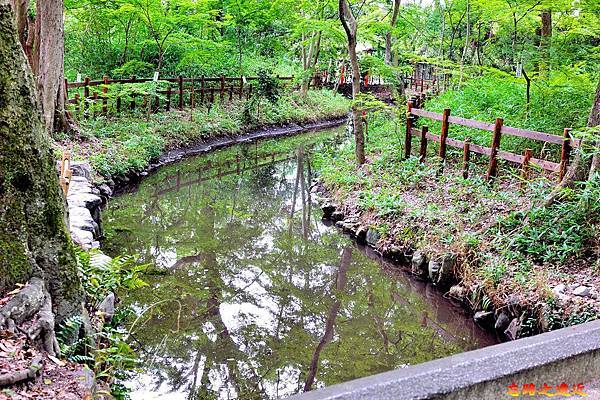 9下鴨神社紅葉橋望瀧見小川.jpg