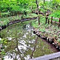 9下鴨神社紅葉橋望瀧見小川.jpg