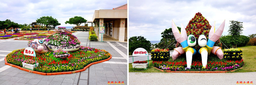 7海洋博公園噴泉廣場前花圃花飾.jpg