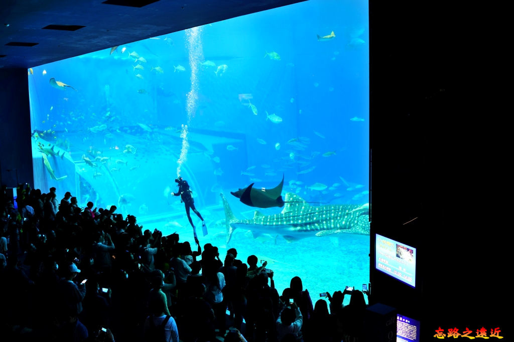 24美麗海水族館黑潮之海-1.jpg