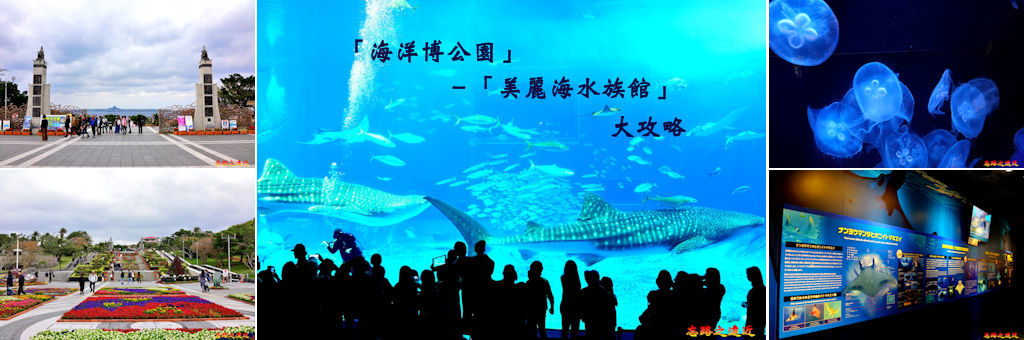 海洋博公園BANNER.jpg