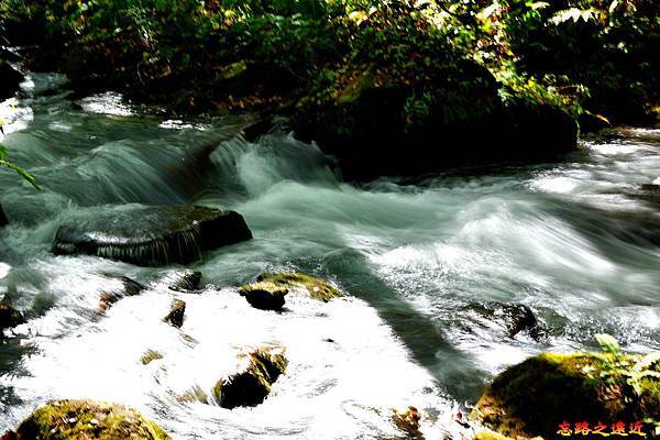 奧入瀨溪流-31.jpg