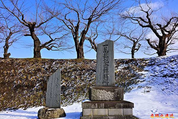 34五稜郭函館每日新聞發行一萬號櫻樹紀念碑.jpg