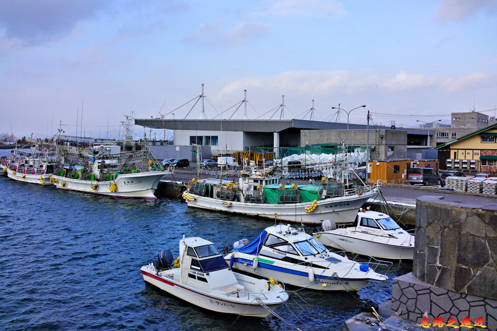 22函館港區水産物地方卸売市場.jpg