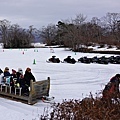 23大沼公園冰上雪橇-1.jpg