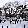 37大沼公園冰上整地-1.jpg