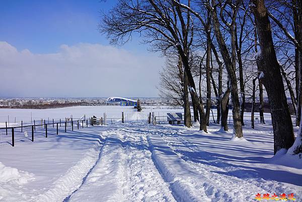 13羊之丘展望台冬季草地區成雪地遊樂場通道.jpg