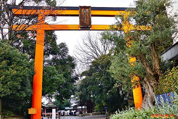 01川越冰川神社大鳥居.jpg