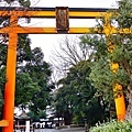 01川越冰川神社大鳥居.jpg