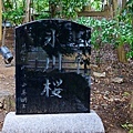 26川越冰川神社冰川櫻碑.jpg