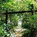 13猴硐神社木鳥居望下.jpg