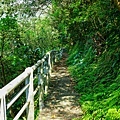 20猴硐神社後方古道.jpg