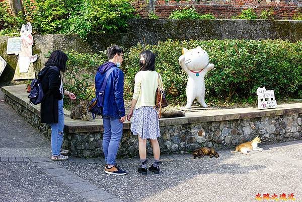 08猴硐貓橋出口往右貓群.jpg