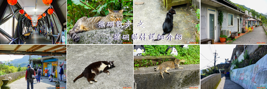 貓村BANNER.jpg