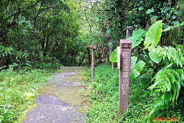 23飛龍步道樟山寺端往指南國小.jpg