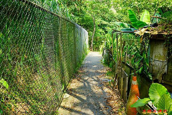 04 救千宮步道涵洞旁登山口登階後小路.jpg