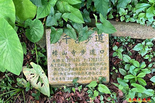 54救千宮步道樟山寺步道口座標石.jpg