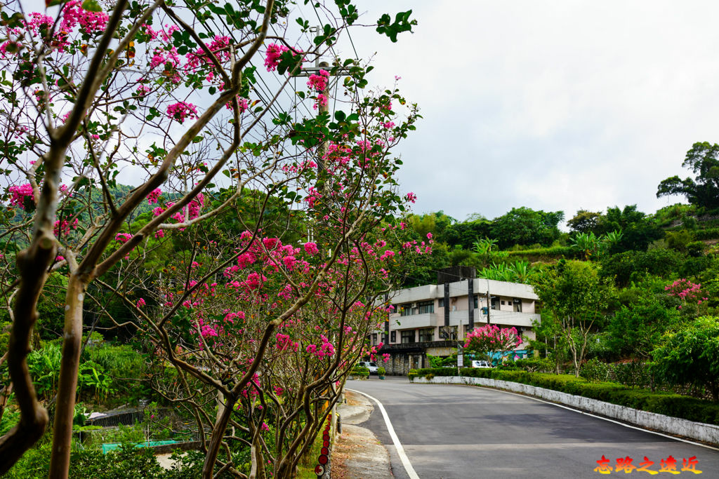 14 石獅腳指南路三段34巷.jpg