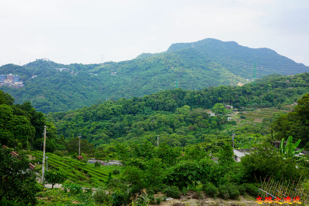 22 石獅腳步道土角厝段上層石板路望前景觀.jpg