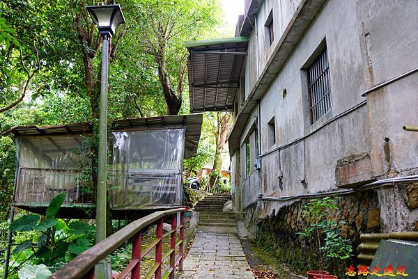 33 石獅腳步道往樟樹步道台階終點.jpg