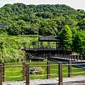 07 樟樹步道明鏡池畔眺望彩雲亭.jpg