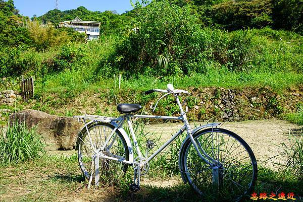 12 樟樹步道老式腳踏車裝飾.jpg