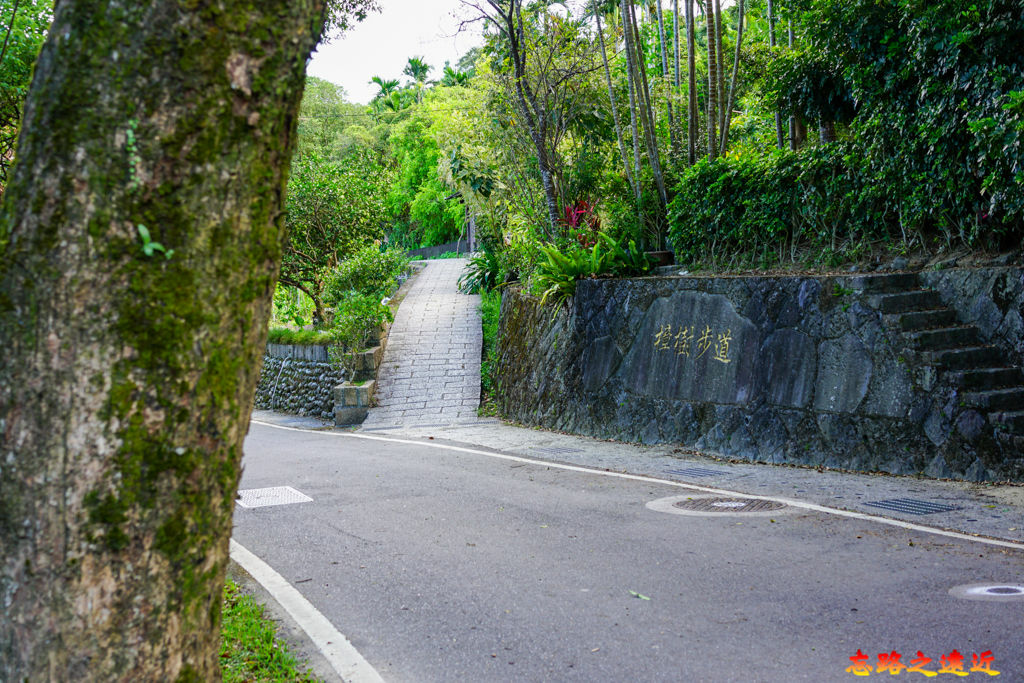 35 樟樹步道樟山寺端.jpg