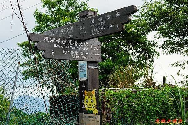 31 樟湖步道主線與支線樟樹步道標示.jpg