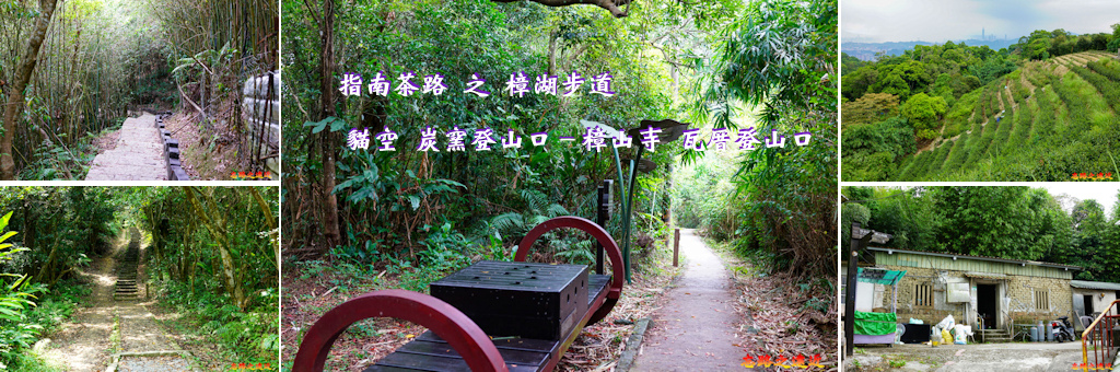 樟湖步道BANNER.jpg