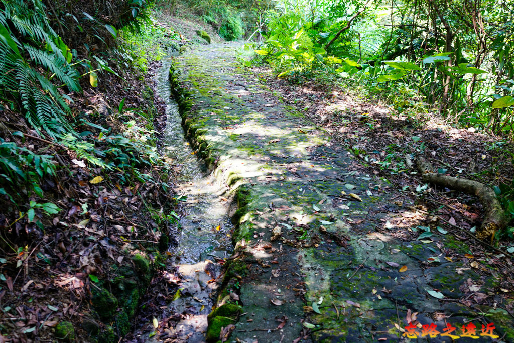 23  三玄宮步道後段青苔小徑輸水道.jpg