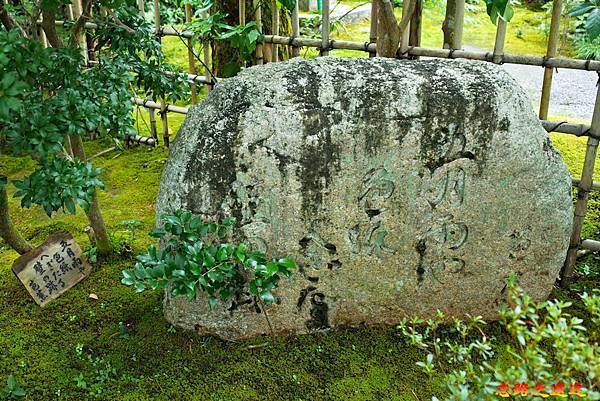 19落柿舍芭蕉碑.jpg