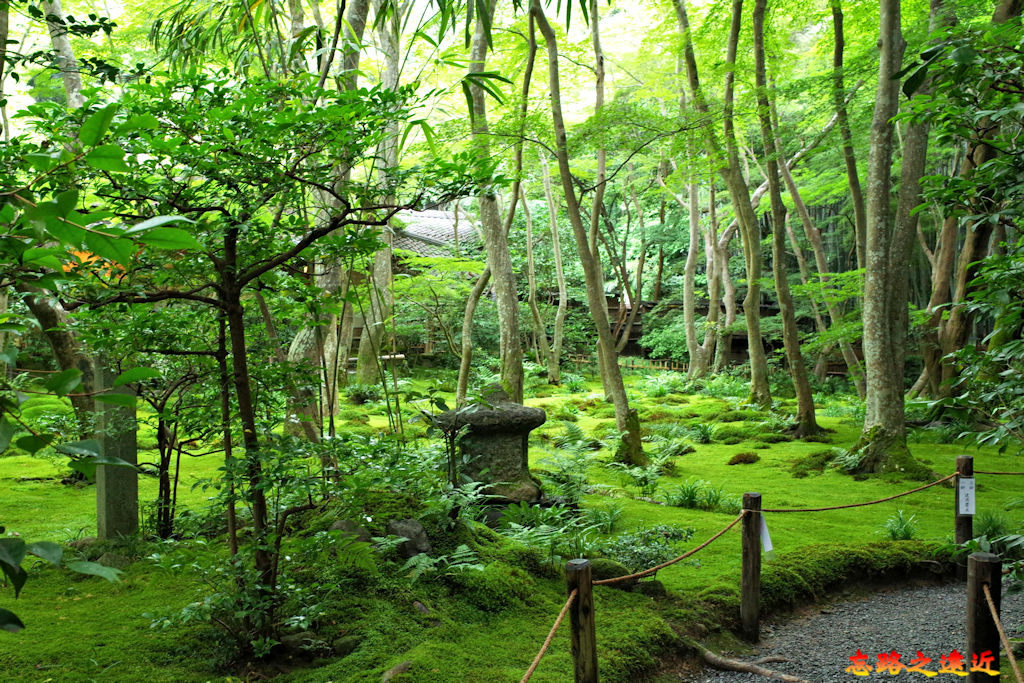 09祇王寺庭園小徑.jpg