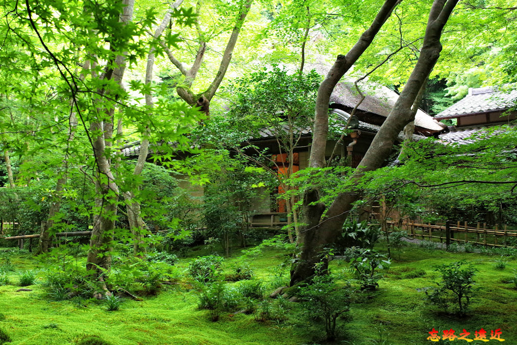 12祇王寺庭園眺望草庵.jpg