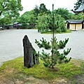 08大覺寺宸殿望敕使門前東宮手植松.jpg