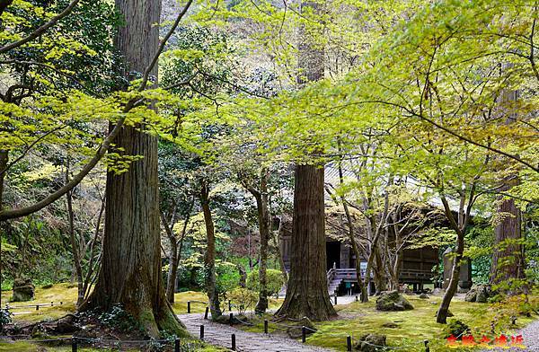 19圓通院庭院望三慧院.jpg