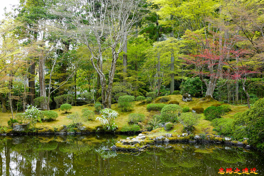 24圓通院池景.jpg