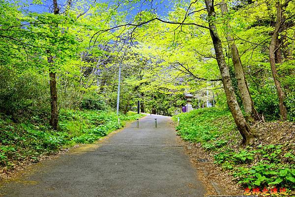 16仙台城澤門城 跡交叉口.jpg