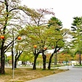 01仙台西公園.jpg